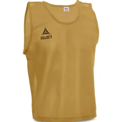 Bib Basic