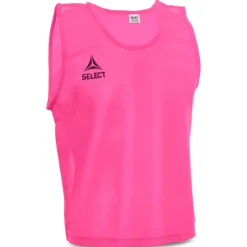 Bib Basic