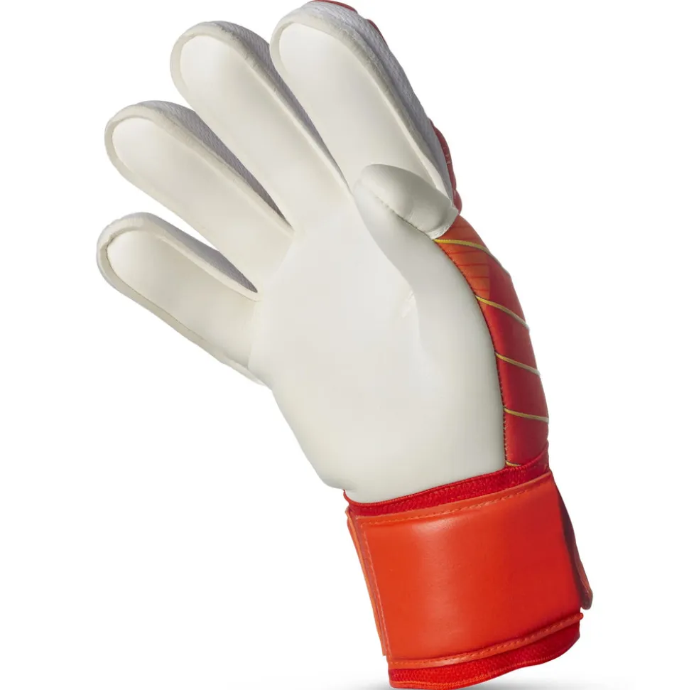 34 Protection